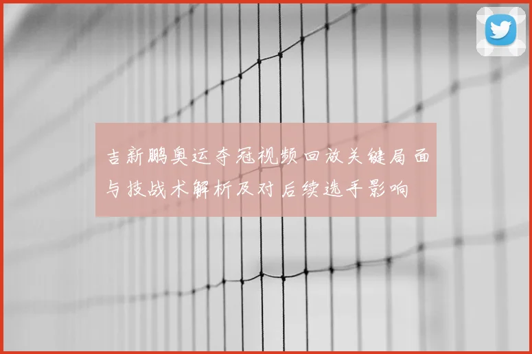 吉新鹏奥运夺冠视频回放关键局面与技战术解析及对后续选手影响