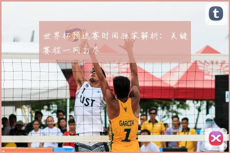 世界杯预选赛时间独家解析：关键赛程一网打尽
