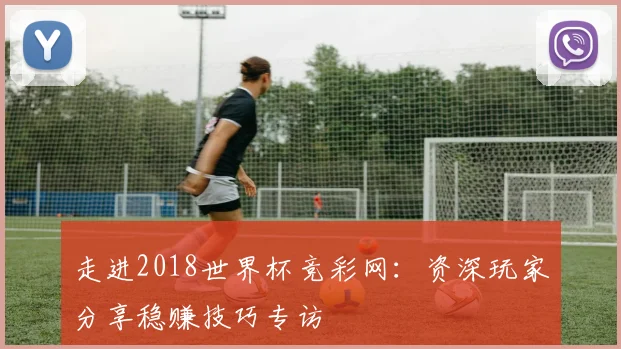 走进2018世界杯竞彩网：资深玩家分享稳赚技巧专访