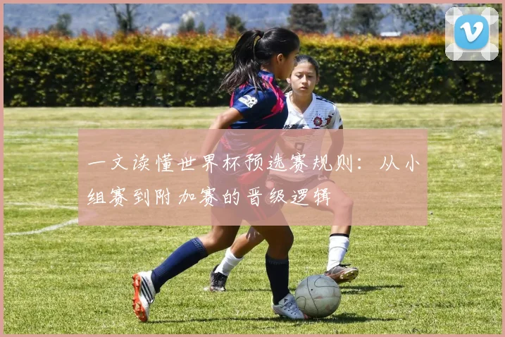 一文读懂世界杯预选赛规则：从小组赛到附加赛的晋级逻辑