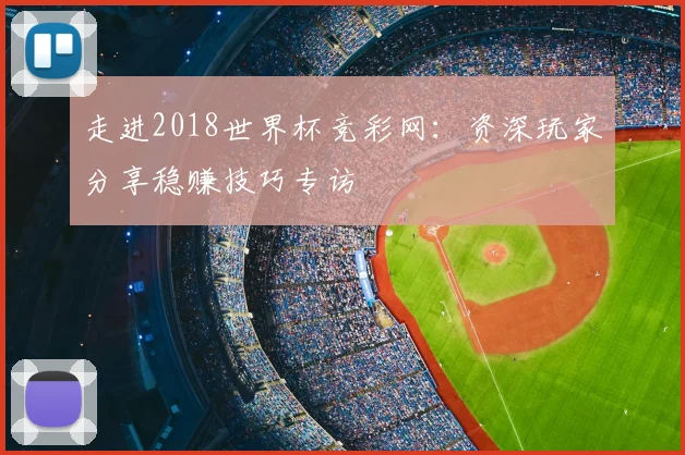 走进2018世界杯竞彩网：资深玩家分享稳赚技巧专访