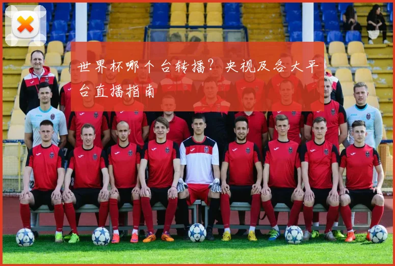 世界杯哪个台转播？央视及各大平台直播指南